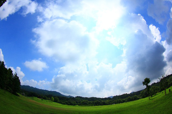 イメージ,夏